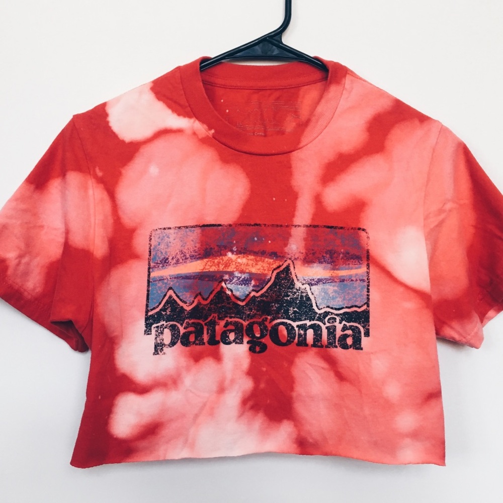 vintage bleached patagonia cropped tee